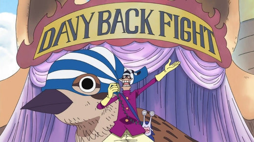 One Piece – What is a Davy back fight?