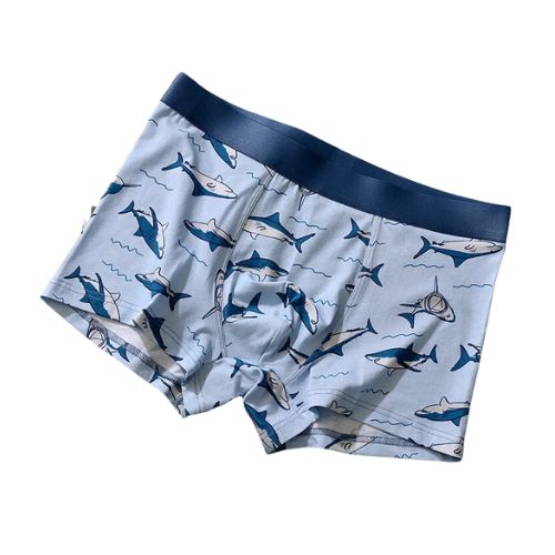 shark boxers